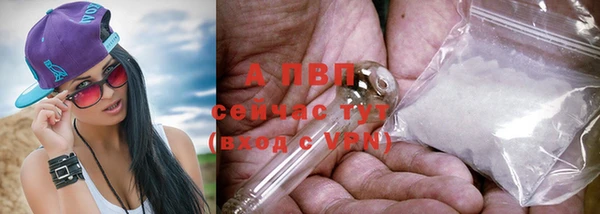 прущие грибы Кукмор
