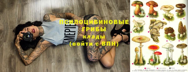 прущие грибы Кукмор