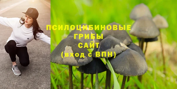 прущие грибы Кукмор