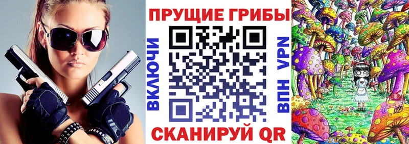 Псилоцибиновые грибы Psilocybine cubensis  Тамбов 